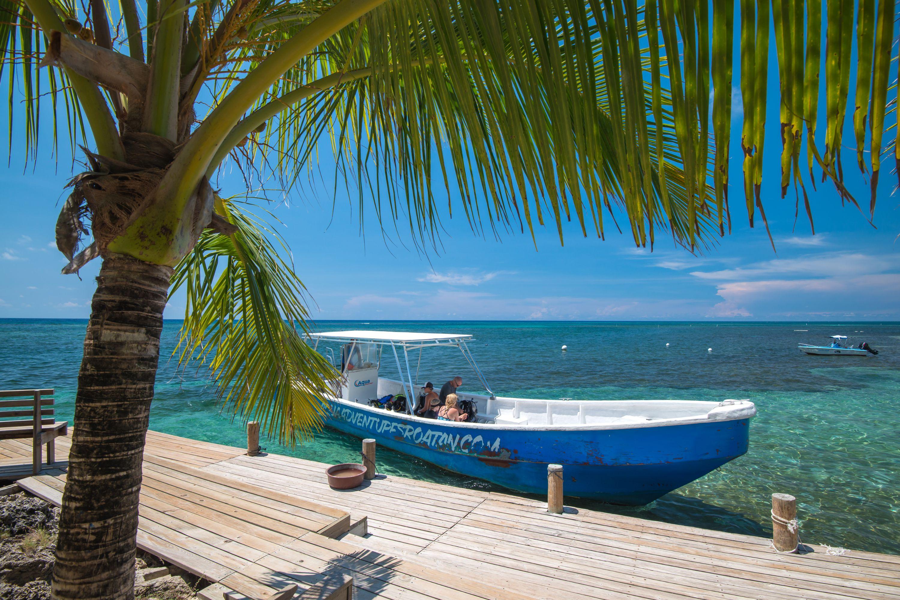 Las Rocas Resort And Dive Center West Bay Εξωτερικό φωτογραφία